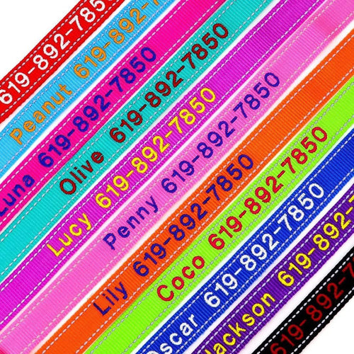 Collar bordado personalizado con nombre y teléfono